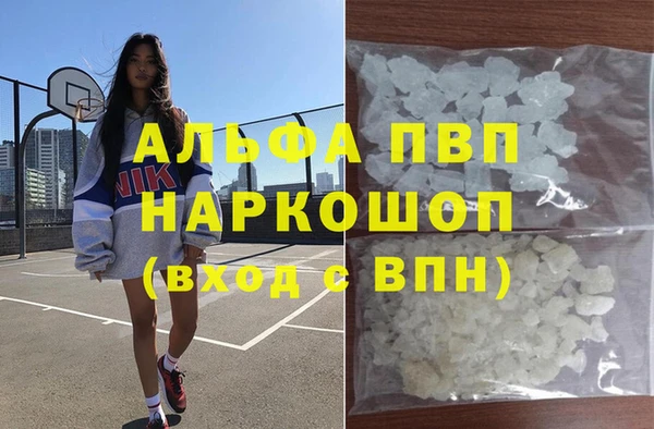 PSILOCYBIN Заводоуковск