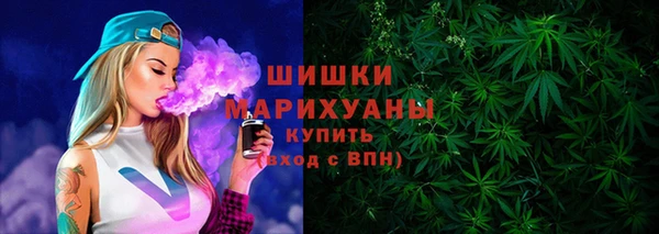 прущая мука Ельня
