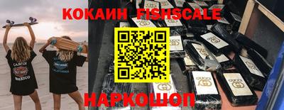 индика Кингисепп
