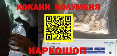 индика Кингисепп