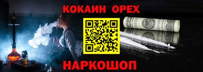 индика Кингисепп