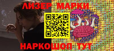 индика Кингисепп