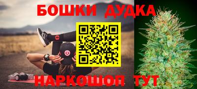 индика Кингисепп