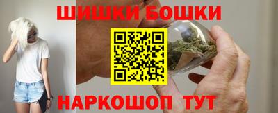 индика Кингисепп