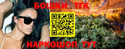 индика Кингисепп