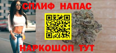 индика Кингисепп