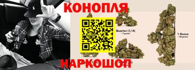 индика Кингисепп