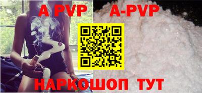 индика Кингисепп