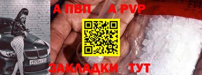 индика Кингисепп