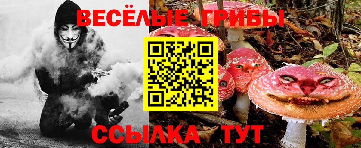 Псилоцибиновые грибы Psilocybine cubensis Славянск-на-Кубани