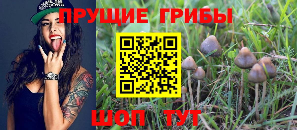 МАРИХУАНА  Гашиш  МЕТ  Славянск-на-Кубани  Меф кристаллы  Вход с VPN  КОКАИН 