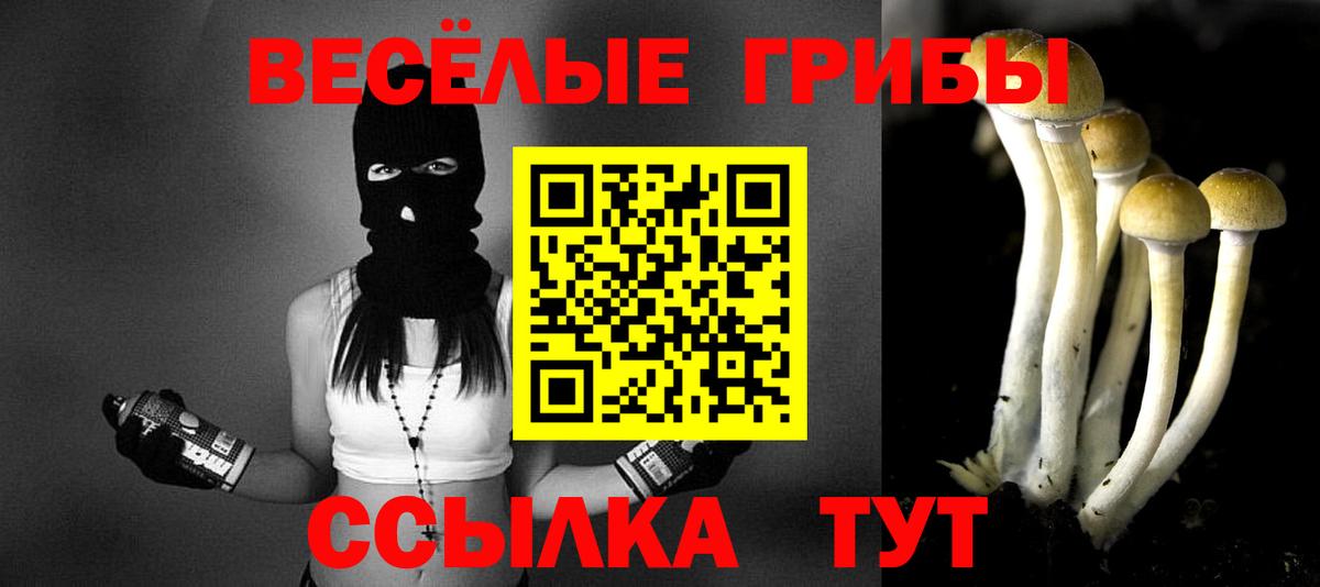 Псилоцибиновые грибы мицелий Славянск-на-Кубани