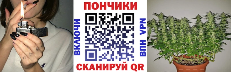 Шишки марихуана марихуана  Славянск-на-Кубани 